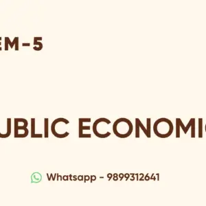Public Economics
